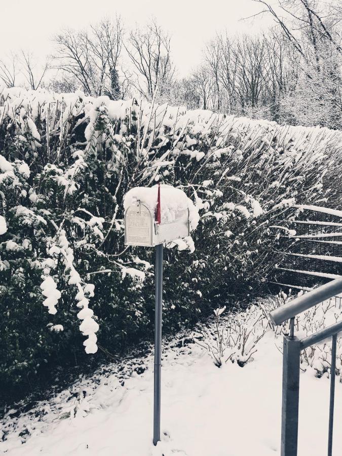 Ferienwohnung Schweier - Ausserhalb Und Doch Zentral Freiburg Bagian luar foto